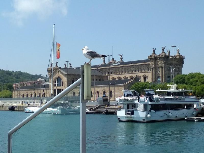 Barcelona Homestay Barcelona